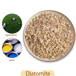 Tierra de Diatomeas Mineral de Alta Actividad Antiaglomerante para Aditivo de Fertilizantes Químicos y Fertilizantes Compuestos - Product Image 3