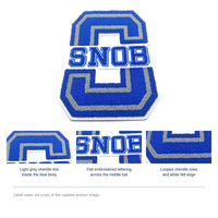 Patch brodé en chenille personnalisé pour vêtements de marque, à thermocoller, style universitaire