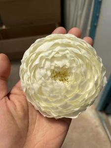 Fiori di Peonia Preservati all'Ingrosso, Fiori a Lunga Durata per Decorazioni e Regali di San Valentino, Capodanno e Natale - Product Image 6