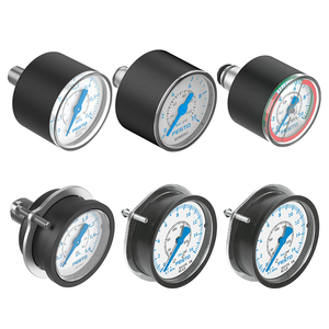 FESTOs PAGN Modular Panel Mount Pressure Gauge Precise Air Pressure Measuring Gauge For Pneumatic Air Source Treatment Assembly - Product Image 1
