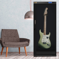 Gabinete inteligente de humedad constante para guitarra eléctrica, caja a prueba de humedad para guitarra, gabinete de mantenimiento con humedad constante