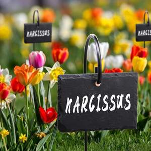 Étiquettes de <span class=keywords><strong>jardin</strong></span> pour plantes, marqueurs résistants aux intempéries, réutilisables, en <span class=keywords><strong>ardoise</strong></span>, à suspendre sur une tige en acier inoxydable pour parterres de fleurs et pots - Product Image 4