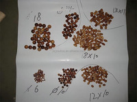 Machine à grandes perles de prière, machine à former des perles de prière, équipement pour perles de prière islamiques en bois