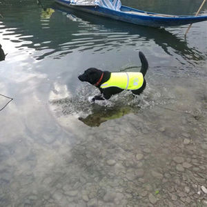 Gilet <span class=keywords><strong>de</strong></span> sécurité réfléchissant pour chien protège les animaux domestiques des voitures et des accidents <span class=keywords><strong>de</strong></span> <span class=keywords><strong>chasse</strong></span>, jaune fluorescent haute visibilité - Product Image 6