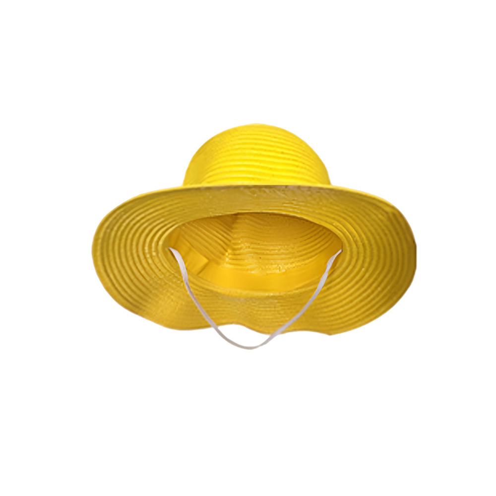 Le chapeau de paille de Luffy