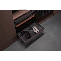 Accessoires de placard avec rails coulissants, porte-pantalons, porte-chaussures et plateau à bijoux pour l'organisation de la garde-robe