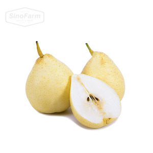 Cao cấp xuất khẩu lớp Hữu Cơ Fuji màu xanh lá cây và Gala táo 1 năm Kệ sản phẩm tươi từ Sơn Đông sạch nông nghiệp ngọt ngào ngon ngọt - Product Image 6