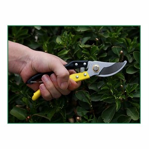 Recortadores de árboles de gran oferta, podadoras de corte y sujeción, tijeras de podar, tijeras de podar, cortador de ramas de árboles - Product Image 3