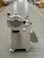 Multifunctionele Kubussnijmachine Automatische Groente-En Fruitsnijmachine Aardappelui Champignonpitaya