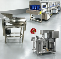 Ligne complète de production de purée de tomate 500 kg/h : lavage, pulvérisation, concentration, remplissage, tout en un
