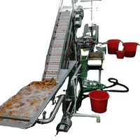 Ligne de production de pâte de poire et de myrtille, équipement automatique de cuisson, de concentration et de remplissage avec une capacité de 500 à 5000 bouteilles/heure