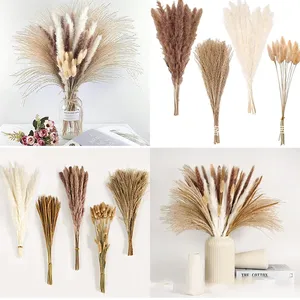 Bouquet Naturale di Fiori Secchi Soffici, Erba della Pampa Decorativa per Vasi, Erba <span class=keywords><strong>Pampas</strong></span> Essiccata all'Ingrosso - Product Image 6