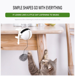 उठाने बिल्ली गेंद खिलौना बिजली इंटरैक्टिव पहेली स्वचालित स्मार्ट पालतू बिल्ली गेंद चिढ़ाने खिलौने पालतू बिजली की आपूर्ति उठाने बिल्लियों गेंदों - Product Image 4