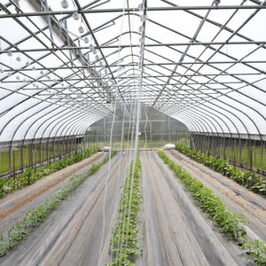 Invernadero de Lona de un Solo Tramo Skyplant, Resistente, para Agricultura, con Buena Conservación del Calor y Resistencia a la Lluvia - Product Image 5