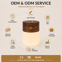 Lampe de chevet intelligente en bois avec LED, diffuseur d'arômes, rechargeable par USB, à intensité tactile, lumière blanche chaude pour la décoration de chambre et d'hôtel