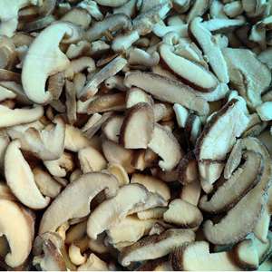 פטריות שיטאקי קפואות מהירות IQF, יבול חדש 2025, חתיכות, פרוסות, מותאמות אישית, איכות טובה, מחיר סיטונאי, עם תקן BRC - Product Image 3