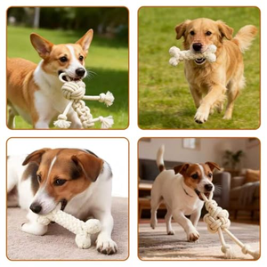 Jouets à mâcher pour chiens personnalisés en gros, jouets indestructibles pour l'entraînement, jouets en corde pour animaux de compagnie pour le nettoyage des dents, jouets à mâcher en corde de coton pour chiens - Product Image 5