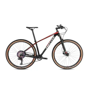 유압 디스크 브레이크가있는 탄소 mtb 자전거 29er T800 탄소 섬유 프레임 11 단 포크 서스펜션 산악 자전거