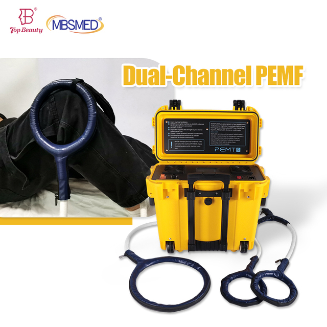 PEMF Device Pmst Vet Human Physical Magnetic Therapy Portable Pmst Max Machine