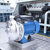 Pompe d'irrigation centrifuge en acier inoxydable, moteur entièrement fermé non ventilé, bobinage 100 % cuivre pour usage commercial, eau propre