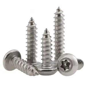 2 Headed Screws Lobe Round Pan Head Screws ISO14585 ST2.9-6.3 Stainless Steel Pan Head Torx Socket Self Tapping Screw Of Security Screw