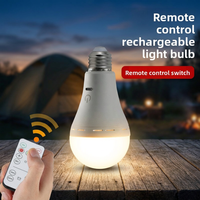 Ampoule LED rechargeable en forme de spirale avec télécommande, gradation de la luminosité, CCT 3000K-6000K, 3.7V, pour jardin, avec charge USB