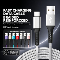 Câble USB Type C tressé en cuivre pur, fourni par l'usine, charge rapide, transfert de données 480 Mbps, connecteur nickelé, multicolores, compatible iOS