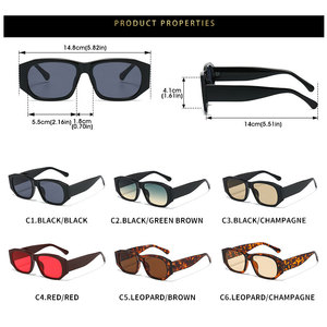 Lunettes de soleil polygonales pour femmes, monture intégrale, style rétro œil de chat, protection UV400, avec logo personnalisé, collection 2026 - Product Image 6