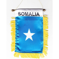Expédition rapide, nouveau drapeau de la Somalie imprimé numériquement 3x5 pieds pour décorations extérieures