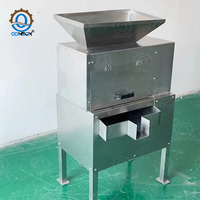 Qdmech Professionele Commerciële Sus304 Fruit Extractor Granaatappelpulpmachine Passievruchtensap Machine