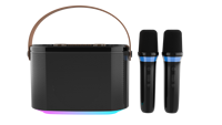 Haut-parleur portable Son de haute qualité avec double fonction de micro sans fil Prise en charge du haut-parleur TF USB AUX Bt pour les activités de plein air en intérieur