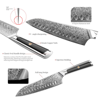 Couteau de chef japonais de haute qualité en acier Damas à 67 couches avec manche en acier inoxydable, adapté à la cuisine