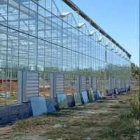 Serre chinoise intelligente complète Venlo avec système d'automatisation et accessoires pour la culture de fleurs et de tomates