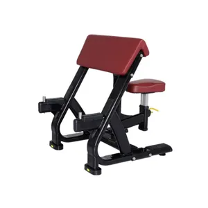 Hot Sale New Musculus Biceps Exercise Equipment Commercial Fitness Use Bicep Machine