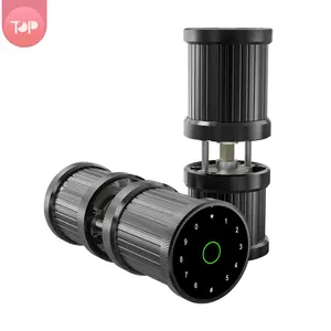Top-76YX Home Điện Tử Tuya Keyless Vân Tay Vòng Chất Lượng Cao Wifi Thông Minh Khóa Cho Cửa Kính - Product Image 1