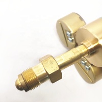 Cylindre d'admission arrière robuste pour gaz (Hélium, Oxygène, Azote, Argon, Air) à simple étage, avec bonnet en laiton réglable par ressort, haute performance