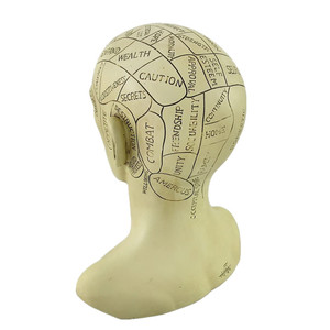 Statua in Resina di <span class=keywords><strong>Testa</strong></span> Vittoriana per Frenologia, Effetto Spaventoso - Product Image 3