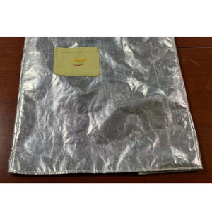 Caston Aluminum <b>Foil</b> Heat Insulating Apron 1000 Fireproof <b>Kitchen</b> Protection Wear - Product Image 1
