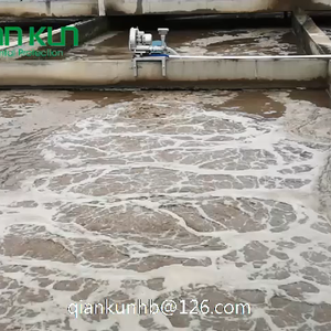 Équipement d'aérateur de Surface de réservoir d'eau à débit bouché utilisé pour la Machine de traitement des eaux usées urbaines - Product Image 5