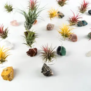 石を癒すための人気のあるデザインの高品質クリスタルクラフト天然植物生