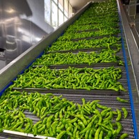 Haricots verts, soja frais congelé, edamame, riches en protéines, sains, non-OGM, de haute qualité, vente en gros, promotion