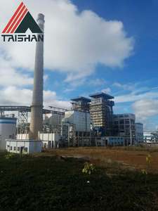 Hoge Output Nieuw Verticaal Ontwerp Biomassa Energiecentrale Ketel Opwekken Elektriciteit Stoom Met Brandstof Pellet Kolen Voor Krachtcentrale - Product Image 6