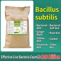 Probiotique agricole Bacillus Subtilis en poudre 25 kg, 100 milliards d'UFC/g, durée de conservation de 24 mois, favorise la nutrition et la croissance saine