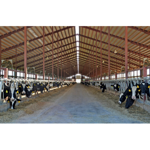 Bâtiment d'usine préfabriqué moderne à faible coût en structure acier <span class=keywords><strong>modulaire</strong></span> pour ferme laitière en structure acier préfabriquée - Product Image 1