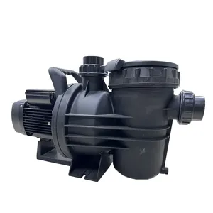 Hot Selling New 2hp Small Pumps Home High Efficiency Swimming Pool Spa Pump