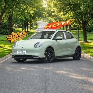 Nouvelle Voiture Électrique Mini SUV 4 Places <span class=keywords><strong>Ora</strong></span> Good Cat 2024 - Véhicule à Énergie Nouvelle en Promotion - Product Image 1