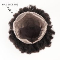 Perruque Orientfashion 100 % Cheveux Humains Afro Crépus Entièrement en Dentelle, Perruques Afro Américaines pour Femmes en Cheveux 100 % Naturels