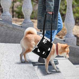 Sabuk pengikat pendukung angkat anjing, sabuk bantuan hewan peliharaan cacat kaki belakang - Product Image 6