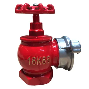 Manufacturer supply gost indoors fire hydrant brass bc 1.6mpa 16k50 dn50 2.4mpa clean water