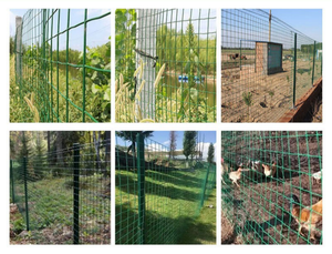 PVC plastic coating, hot-dip galvanized iron <b>wire</b>, green welded <b>wire</b> <b>mesh</b> are used for fence protection and poultry farming. - Product Image 2